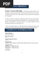 Company Profile For  Festive Travels Sdn Bhd