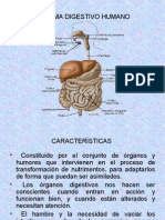 SISTEMA DIGESTIVO Clase 4