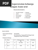 Download Asuhan Keperawatan Keluarga Dengan Asam Urat by mehndut SN140761835 doc pdf