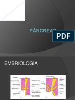 Pancreas Todo