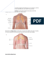 Respiratory Surface Anatomy 