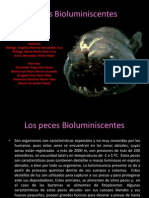 Peces Bioluminiscentes