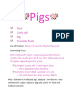 Pigs AE
