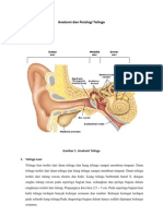 Anatomi Dan Fisiologi Telinga
