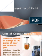 Biochemistry of Cells - 2