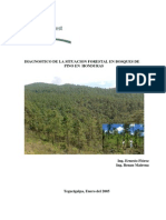 Diagnostico de los bosques de Coniferas Honduras Flórez2005.pdf