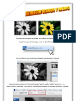 Colorear Una Imagen en Blanco y Negro