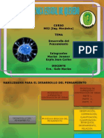 Proyect de Aula Desarrollo Del Pensamiento