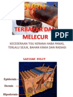 Terbakar Dan Melecur