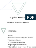 algebra matricial matemática aplicada