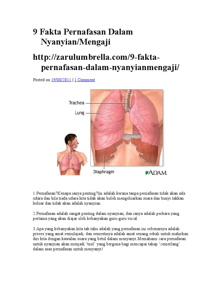 Cara Mengetahui Judul Lagu Dari Suara Musik Nya Evotekno