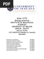 Lab Report Group 3