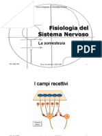 Somestesia PDF