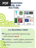 2.2 Organisma Unisel Dan Multisel