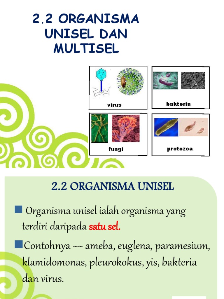 Organisma Unisel Dan Multisel