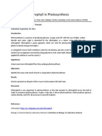 The Role of Chlorophyll in Photosynthesis