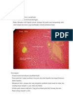 Histologi Hepar