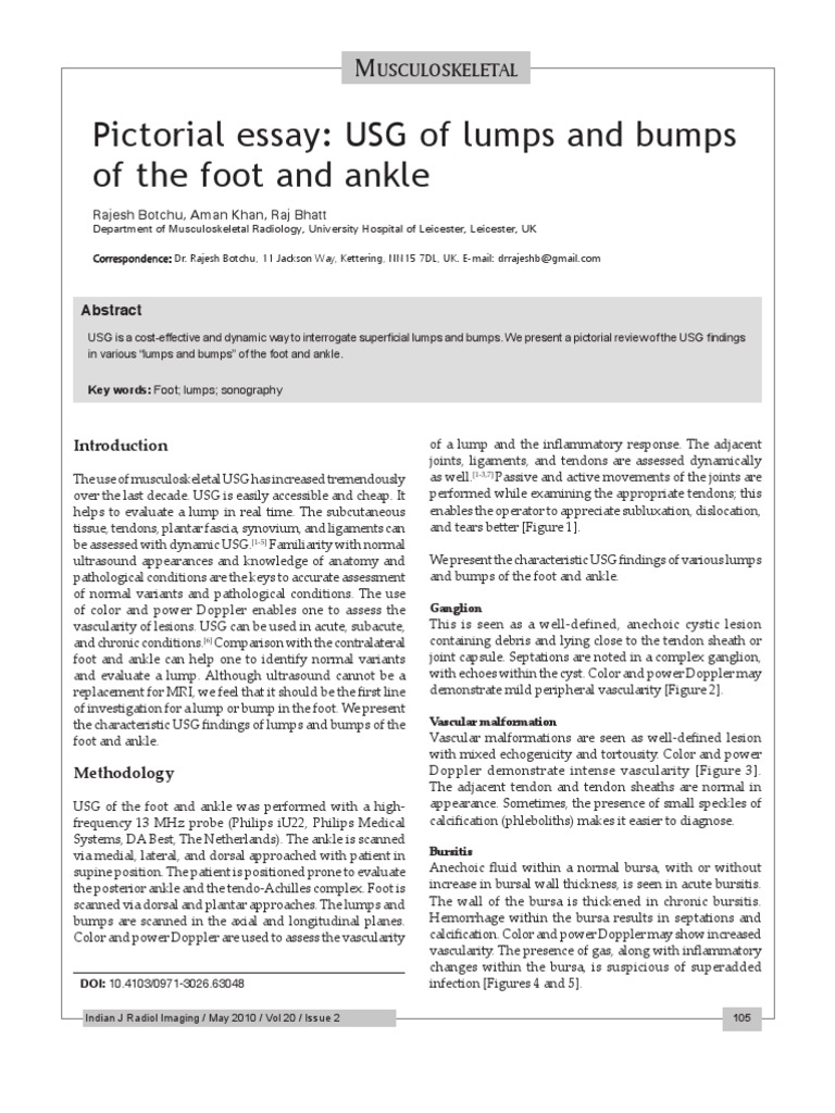 Pictorial essay example english image