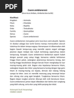 Download deskripsi kura-kura by Firas Khaleyla SN140955371 doc pdf