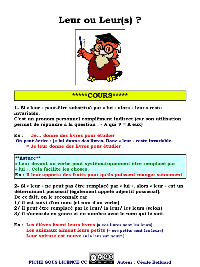 Cours Leur Ou Leurs Fle