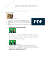 Tipos de Movimiento y Soportes PDF