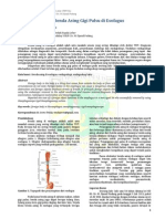 Penatalaksanaan Benda Asing Gigi Palsu Di Esofagus PDF