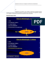 ECG  NORMAL.pdf