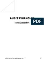 Audit Financiar Suport Aplicativ 2011