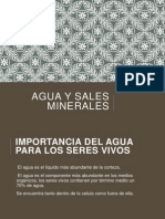 Agua y Sales Minerales