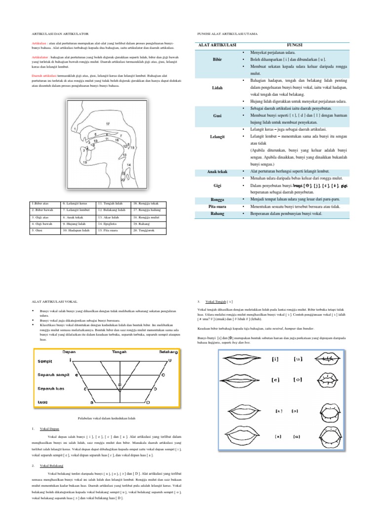 Nota Artikulasi Dan Artikulator  PDF