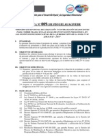 27feb Directiva Contrato AIP 2013