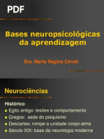 Bases Neuropsicologicas Da Aprendizagem