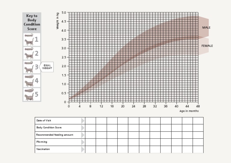 Kitten Growth and Weight Chart | PDF | Wellness
