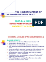 Congenital Malformations of the Lower Urinary Tract (Without Images-2)-Mar 2012