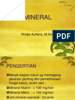 Ppt Ilmu Gizi-mineral