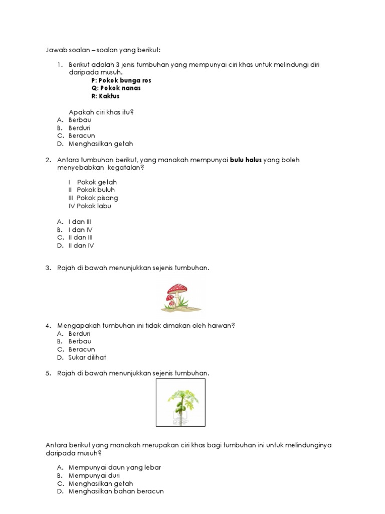 Jawab Soalan Pdf