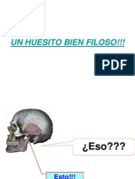 Un Huesito Muy Filoso!!!