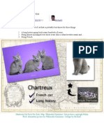 Chartreux Cat Facts For Kids