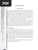 Download BAB II Tinjauan Pustaka by Ian Nur SN141065917 doc pdf
