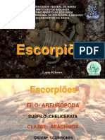 PALESTRA_escorpiões e escorpionismo - modificada