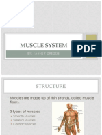 Muscle System: By: Tanner Dredge