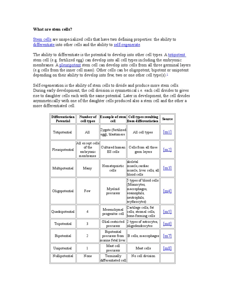 Understanding Stem Cells and Their Types | PDF