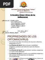 Download Ortomixovirus Virus de La Influenza by Eric Brito SN141072567 doc pdf
