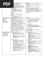 Download Kingdoms Worksheets by Tess SN14107278 doc pdf