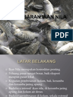 Pembesaran Ikan Nila