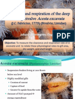 Filtration and Respiration of the Deep Living Bivalve
