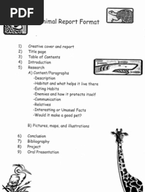 animal report
