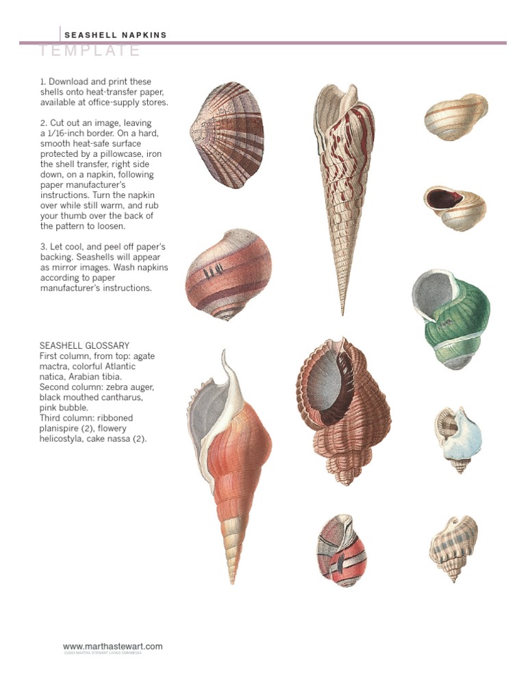0803 Shell High | PDF