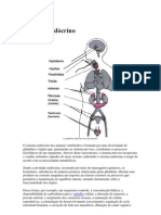Sistema Endócrino