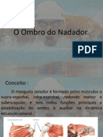 O Ombro Do Nadador